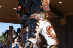12-DSC06785