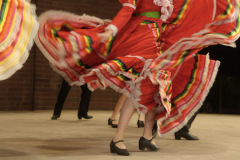 25-DSC07447